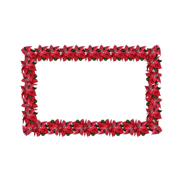 Waterkleur poinsettia frame — Stockfoto