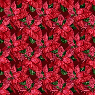 Kırmızı noktalı kusursuz noel deseni, siyah arka plan, altın kaplama, Holly, ökseotu ve böğürtlen. Çiçekli fayans, çoban yaprakları. Paket kağıdı ve tekstil baskısı için el çizimi illüstrasyon.