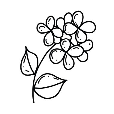 Bitkilerle, çiçeklerle, otlarla, bir sürü cilt bakımıyla. Doğrusal vektör çizimi. El çizimi semboller ve tarz nesneler. Çıkartma, dekor, boyama kitabı, logo için basit, siyah çizim