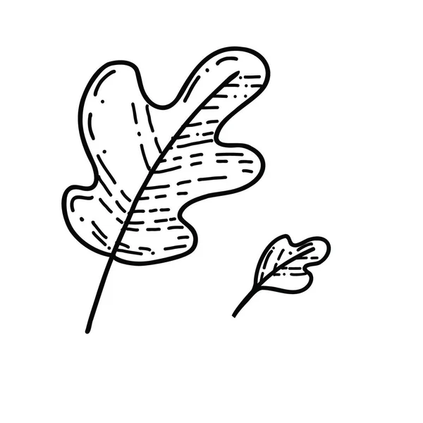 白い背景に孤立したドードルオークの葉 手描き紅葉の詳細なベクターイラスト ヴィンテージレトロな秋の季節の装飾 手描きのオークの葉 エコアイコン — ストックベクタ
