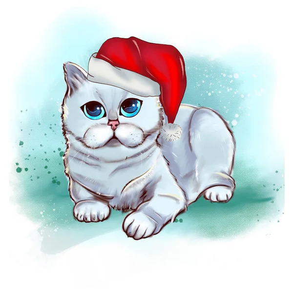 英国のロングヘア猫は白い背景に隔離されています ウェブのための手描きの子猫のデジタルアートイラスト 高密度とふわふわの灰白色のコートの色合い 深い青色の目を持つ長い髪の優雅子猫 — ストック写真