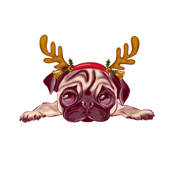 クリスマス鹿の角で白い背景に愛らしいベージュのパグ子犬の肖像画 ユーモアのセット クリスマスペット 可愛い子犬がカメラの前でポーズ いい犬だ 面白い犬のイラスト — ストック写真