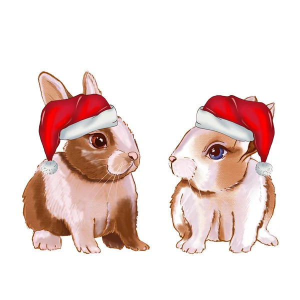 Vánoční Králík Digitální Ilustrace Ručně Kresleného Zajíce Vánoce Santa Clausi — Stock fotografie