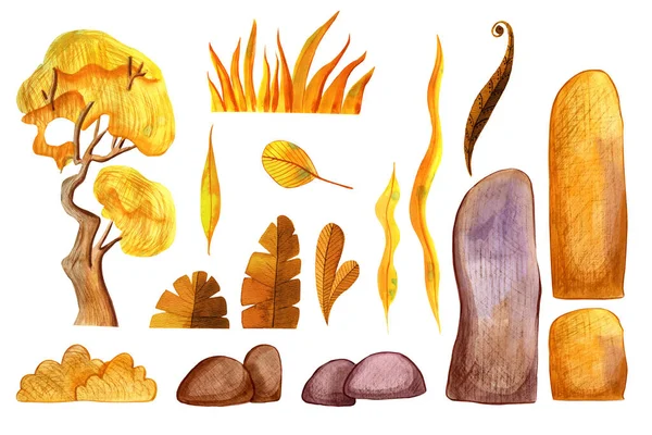 Grama Folhas Ervas Outono Árvore Pedras Castanhas Ilustração Das Necessidades — Fotografia de Stock