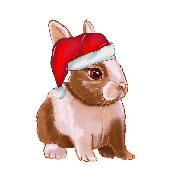 クリスマスかわいいウサギ。手描きのウサギのデジタルアートイラスト。クリスマスサンタ・クラス. — ストック写真