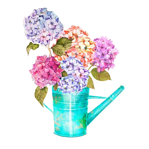Прекрасний букет квітів ранньою весною в балончику для поливу. Акварельні поливи з гортензією, евкаліптом і листям папороті ізольовані . — стокове фото