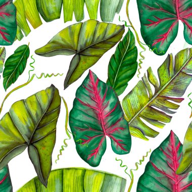 Klasik tarzda tropikal muz yapraklarıyla kusursuz egzotik desen.