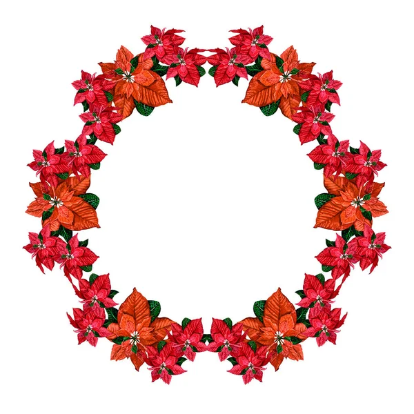 Watercolor christmas wreath with poinsettia. New year wreath for design, print or background — Stock Photo, Image