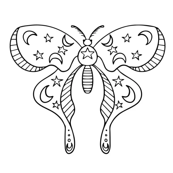 Dibujo místico. Bosquejo de mariposa makhaon con formas. Blanco y negro. — Archivo Imágenes Vectoriales