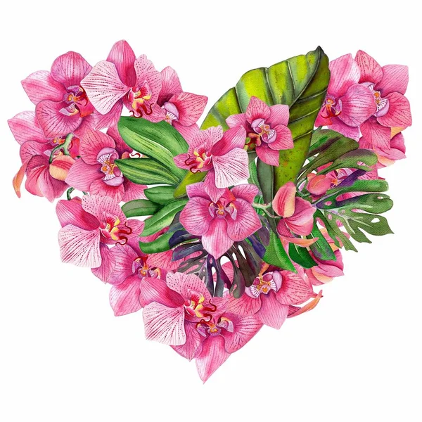 Glad Alla hjärtans dag hjärta våren orkidéer fyllda isolerad bakgrund. Tropikerna. — Stockfoto