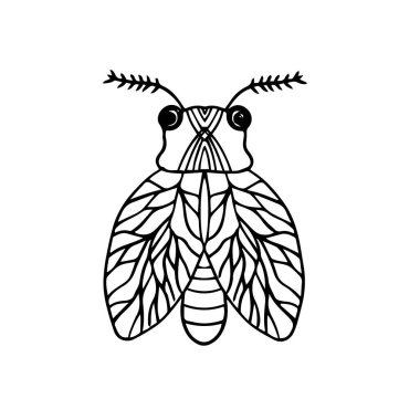 Mistik çizim. Kelebek Makhaon 'un şekilli çizimi. Siyah ve beyaz.