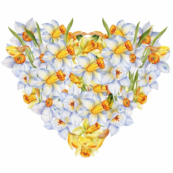 Daffodils akvarel srdce. Šťastný Valentýn srdce plné jarních květin narcisy. Karta s ručně kresleným designem pro pozvánky na dovolenou, gratulace, citace, blogy — Stock fotografie