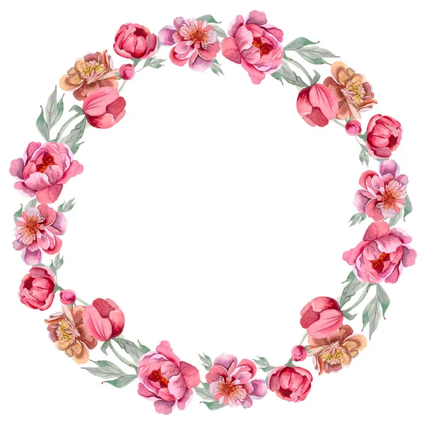 Helle Frische Süße Elegante Aquarell Pfingstrosen Kranz Bunte Sommerblumen Rosa — Stockfoto