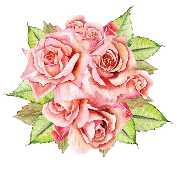 Flores Aquarela Rosa Clássica Folhagem Verde Ilustração Floral Uma Rosa — Fotografia de Stock
