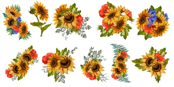 Sonnenblumen Mohn Kornblumen Gänseblümchen Großes Set Herbstfarben Sonnenblumen Botanische Malerei — Stockfoto
