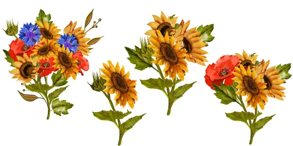 Sonnenblumen Mohn Kornblumen Gänseblümchen Großes Set Herbstfarben Sonnenblumen Botanische Malerei — Stockfoto