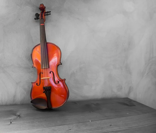 Violin — Stock Photo, Image