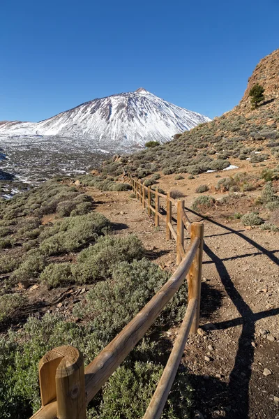 Vulcão Teide Imagens Royalty-Free