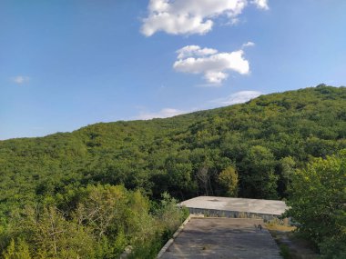 Yeşil yaz ormanları olan dağ manzarası. Yeşil dağ ormanları manzarası. Kafkas Dağları.