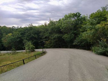 Yeşil kırsal kesimdeki orman parkı manzarası. Ormandaki boş kaldırım yolu. Yeşil park yolu 