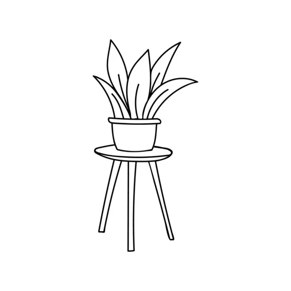 Pflanze Auf Dem Stuhl Doodle Illustration Handgezeichnete Illustration Der Heimischen — Stockvektor