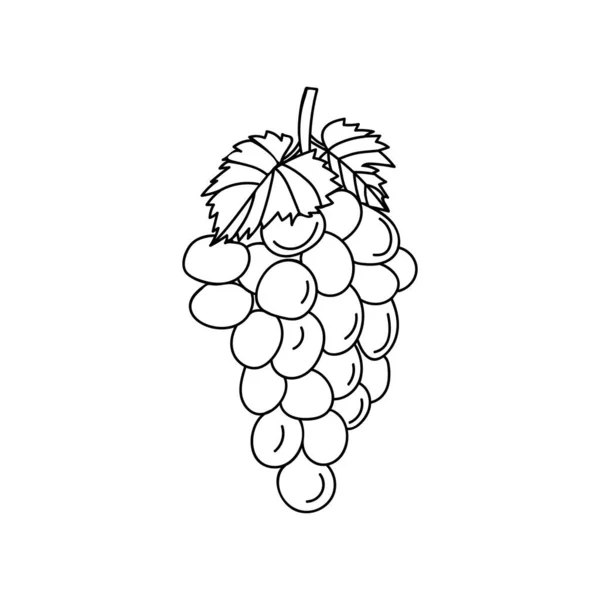 Grapes Doodle Illustration Vector Hand Drawn Grapes Illustration Vector — Stockvektor