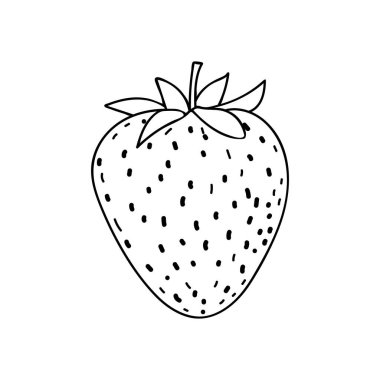 Beyaz arka planda el çizimi çilek çizimi. Vektörde karalama çileği çizimi