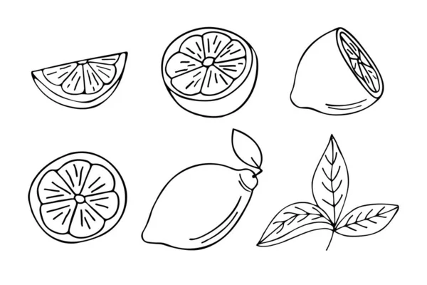Lemon Doodle Ilustrações Definidas Vetor Coleção Ilustrações Limão Desenhadas Mão — Vetor de Stock
