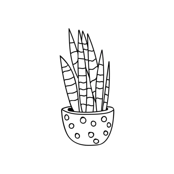 Haus Pflanze Doodle Illustration Vektor Handgezeichnete Illustration Der Zimmerpflanze Topfpflanze — Stockvektor