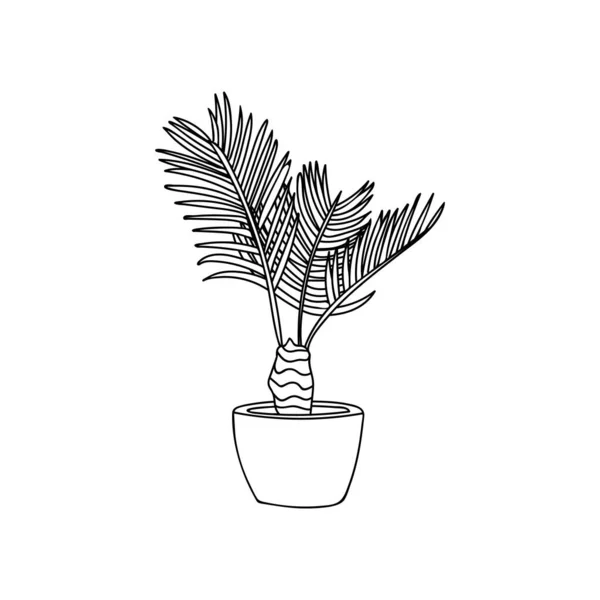 Pot Palm Doodle Illustration Vektor Haus Palme Handgezeichnete Illustration Topfpflanze — Stockvektor