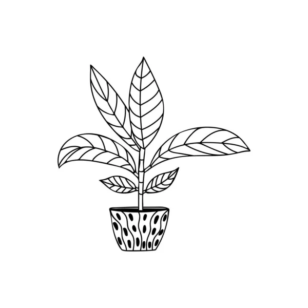 Casa Planta Doodle Ilustração Vetor Casa Planta Mão Ilustração Desenhada — Vetor de Stock