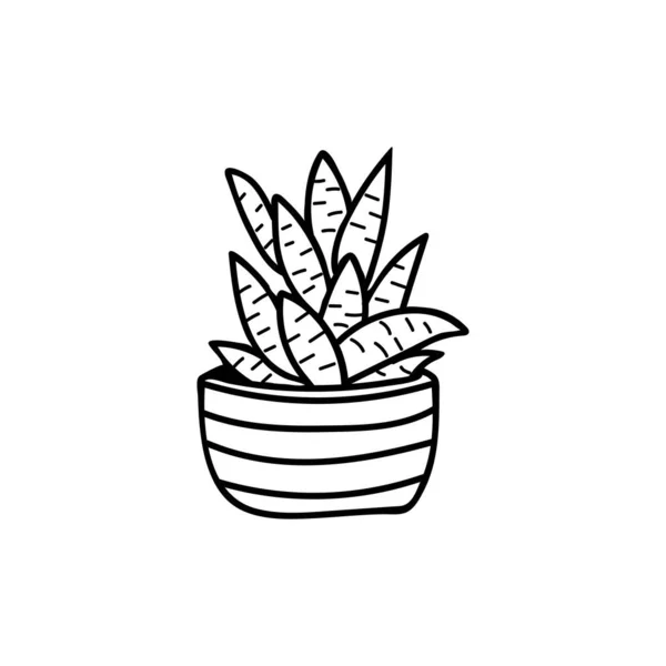 Illustration Des Kaktus Doodle Vektor Handgezeichnete Illustration Von Kakteen Topfpflanze — Stockvektor