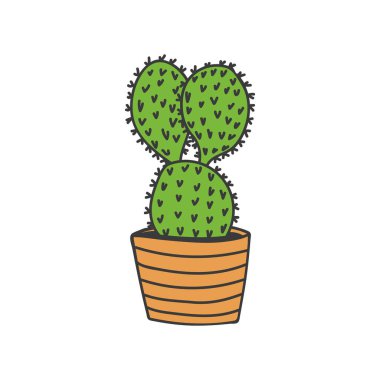 Cactus colorful doodle illustration in vector. Cactus colorful icon. Pot plant doodle illustration
