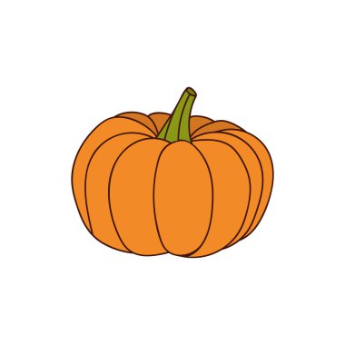 Kabak renginde karalama çizimi. Vektörde kabak renkli simge