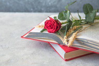 Aziz George Günü 'nün Katalanca adı Sant Jordi. Katalonya, İspanya' da kırmızı gül ve kitap vermenin bir gelenek olduğu gün.