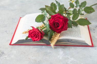 Aziz George Günü 'nün Katalanca adı Sant Jordi. Katalonya, İspanya' da kırmızı gül ve kitap vermenin bir gelenek olduğu gün.