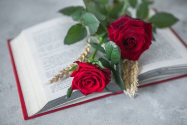 Aziz George Günü 'nün Katalanca adı Sant Jordi. Katalonya, İspanya' da kırmızı gül ve kitap vermenin bir gelenek olduğu gün.