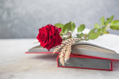 Aziz George Günü 'nün Katalanca adı Sant Jordi. Katalonya, İspanya' da kırmızı gül ve kitap vermenin bir gelenek olduğu gün.