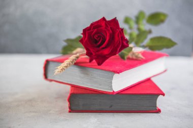 Aziz George Günü 'nün Katalanca adı Sant Jordi. Katalonya, İspanya' da kırmızı gül ve kitap vermenin bir gelenek olduğu gün.