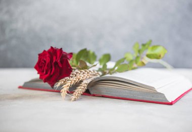 Aziz George Günü 'nün Katalanca adı Sant Jordi. Katalonya, İspanya' da kırmızı gül ve kitap vermenin bir gelenek olduğu gün.