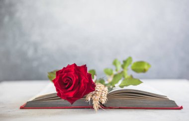 Aziz George Günü 'nün Katalanca adı Sant Jordi. Katalonya, İspanya' da kırmızı gül ve kitap vermenin bir gelenek olduğu gün.