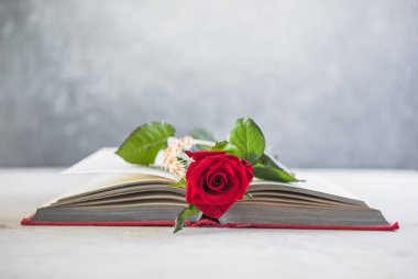 Aziz George Günü 'nün Katalanca adı Sant Jordi. Katalonya, İspanya' da kırmızı gül ve kitap vermenin bir gelenek olduğu gün.