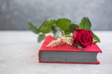 Aziz George Günü 'nün Katalanca adı Sant Jordi. Katalonya, İspanya' da kırmızı gül ve kitap vermenin bir gelenek olduğu gün.