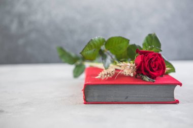 Aziz George Günü 'nün Katalanca adı Sant Jordi. Katalonya, İspanya' da kırmızı gül ve kitap vermenin bir gelenek olduğu gün.