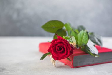 Aziz George Günü 'nün Katalanca adı Sant Jordi. Katalonya, İspanya' da kırmızı gül ve kitap vermenin bir gelenek olduğu gün.