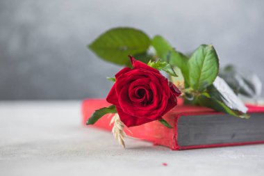 Aziz George Günü 'nün Katalanca adı Sant Jordi. Katalonya, İspanya' da kırmızı gül ve kitap vermenin bir gelenek olduğu gün.