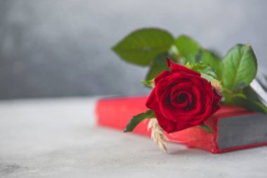 Aziz George Günü 'nün Katalanca adı Sant Jordi. Katalonya, İspanya' da kırmızı gül ve kitap vermenin bir gelenek olduğu gün.