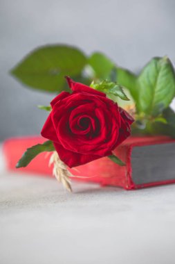 Aziz George Günü 'nün Katalanca adı Sant Jordi. Katalonya, İspanya' da kırmızı gül ve kitap vermenin bir gelenek olduğu gün.