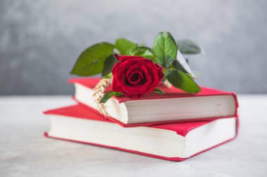 Aziz George Günü 'nün Katalanca adı Sant Jordi. Katalonya, İspanya' da kırmızı gül ve kitap vermenin bir gelenek olduğu gün.