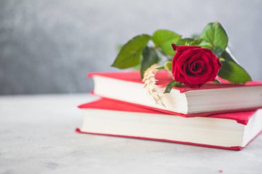 Aziz George Günü 'nün Katalanca adı Sant Jordi. Katalonya, İspanya' da kırmızı gül ve kitap vermenin bir gelenek olduğu gün.